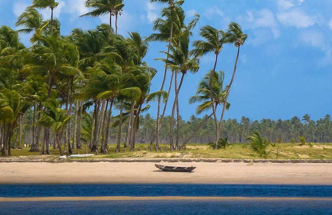 Excursión a la playa Boca de Barra de Boipeba - Foto 3