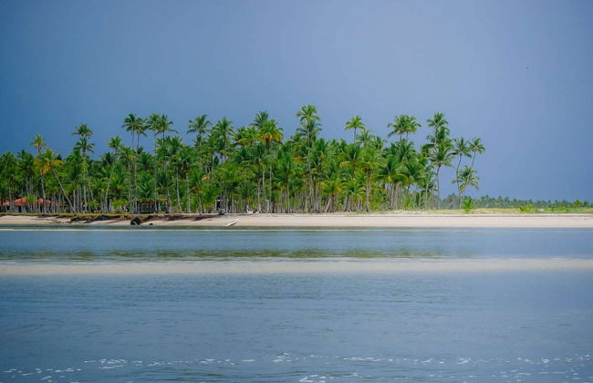 Excursion à la plage Boca da Barra de Boipeba - Photo 1