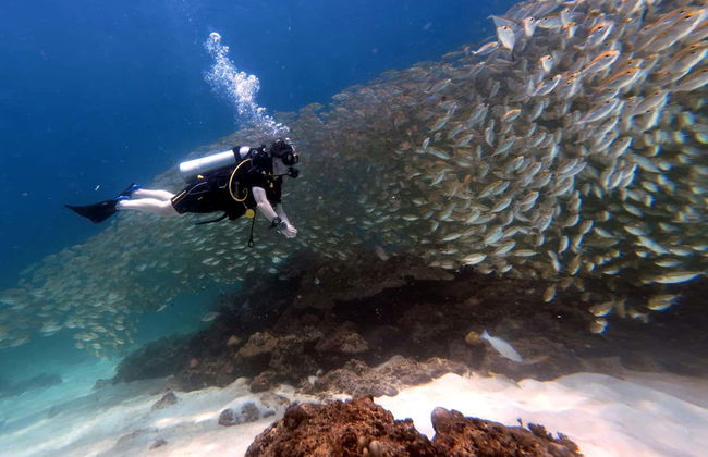 Buceo en la isla de Racha Yai - Foto 6