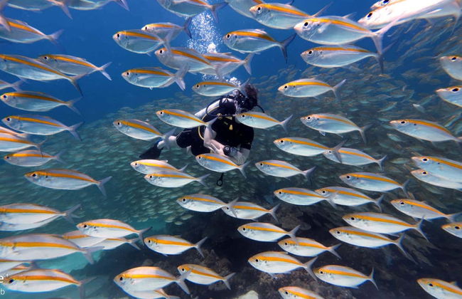 Buceo en la isla de Racha Yai - Foto 5