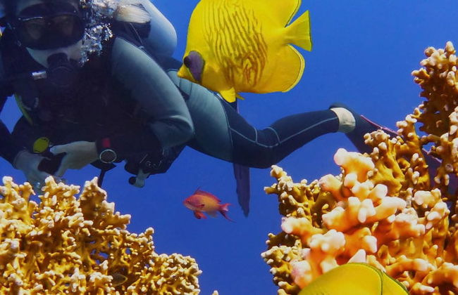 Buceo en la isla de Racha Yai - Foto 8