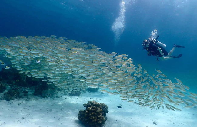 Buceo en la isla de Racha Yai - Foto 2