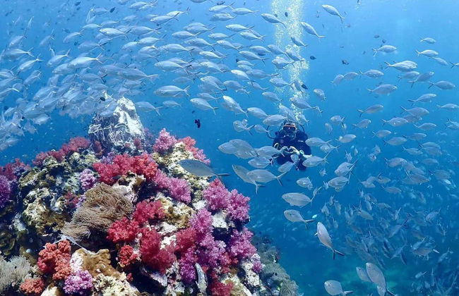 Buceo en la isla de Racha Yai - Foto 4