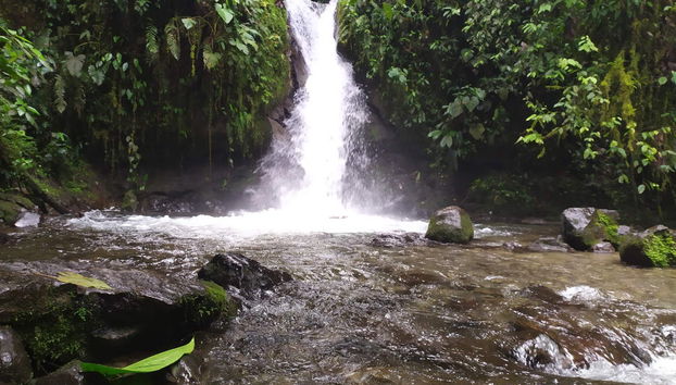 Excursion à Mindo - Photo 2