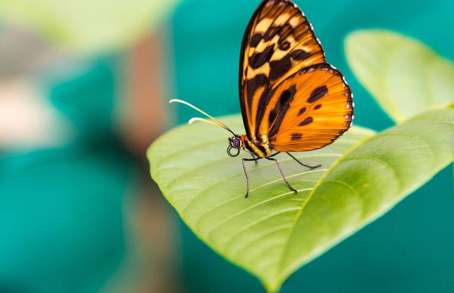 Excursão a Mindo - Foto 3