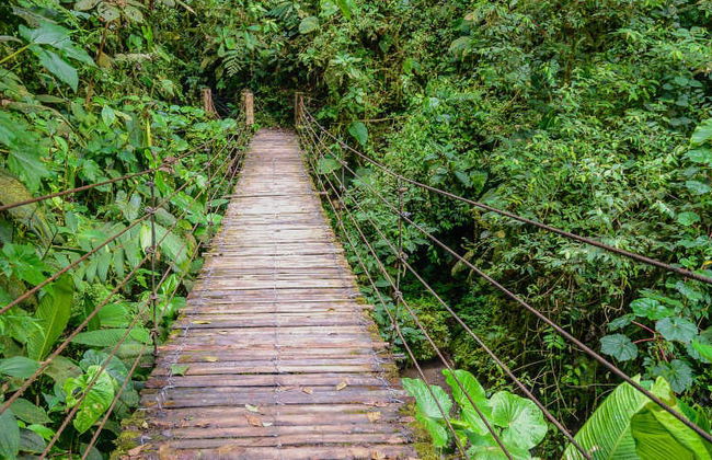 Excursão a Mindo - Foto 4
