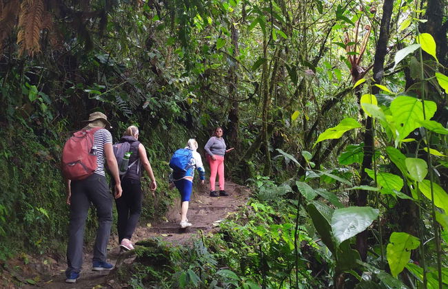 Excursão a Mindo - Foto 2