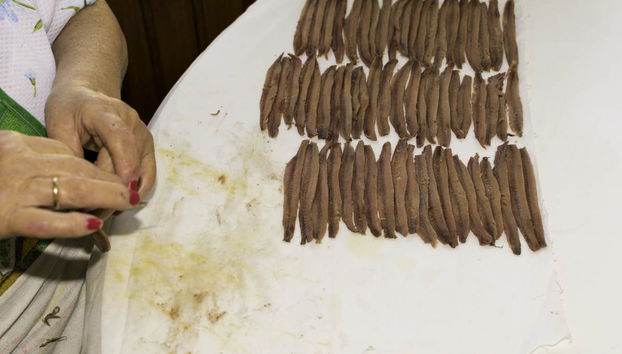 Paseo en barco + Visita a la lonja de Santoña - Foto 5