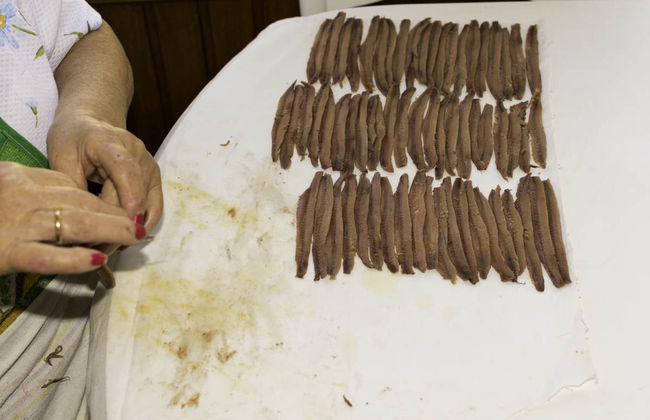 Paseo en barco + Visita a la lonja de Santoña - Foto 5