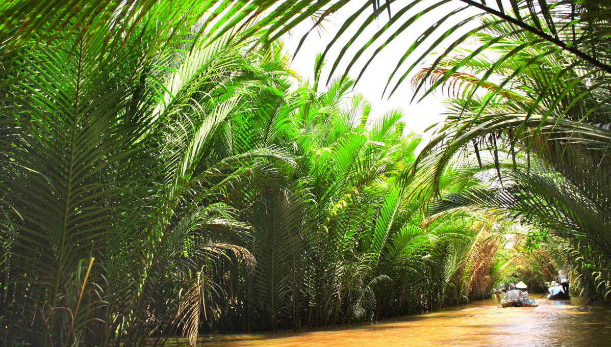 Mekong Delta 2-Day Tour - Foto 1
