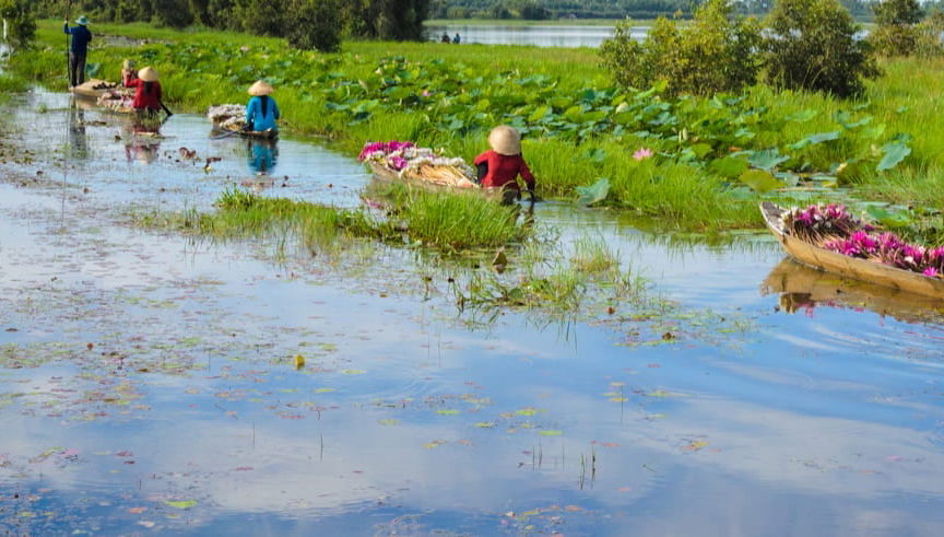 Mekong Delta 2-Day Tour - Foto 2