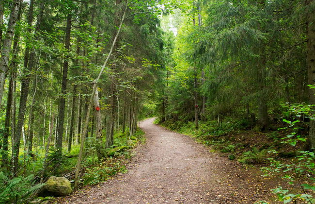 Nuuksio National Park Hike - Photo 1