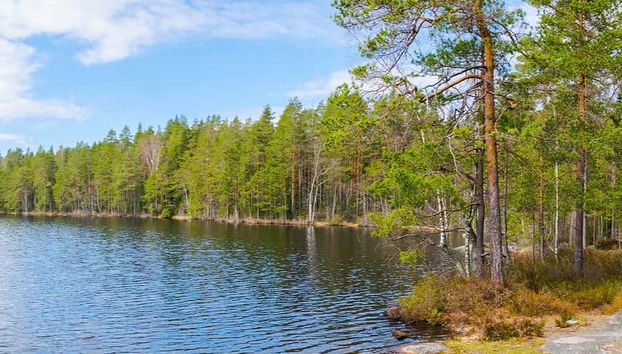 Trekking por el Parque Nacional Nuuksio - Foto 4