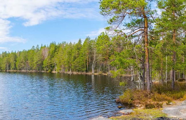 Nuuksio National Park Hike - Photo 4