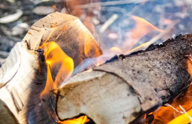 Nuuksio National Park Hike - Photo 6