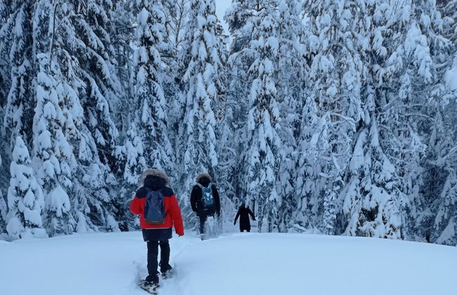 Trekking al Parco Nazionale di Nuuksio - Foto 5