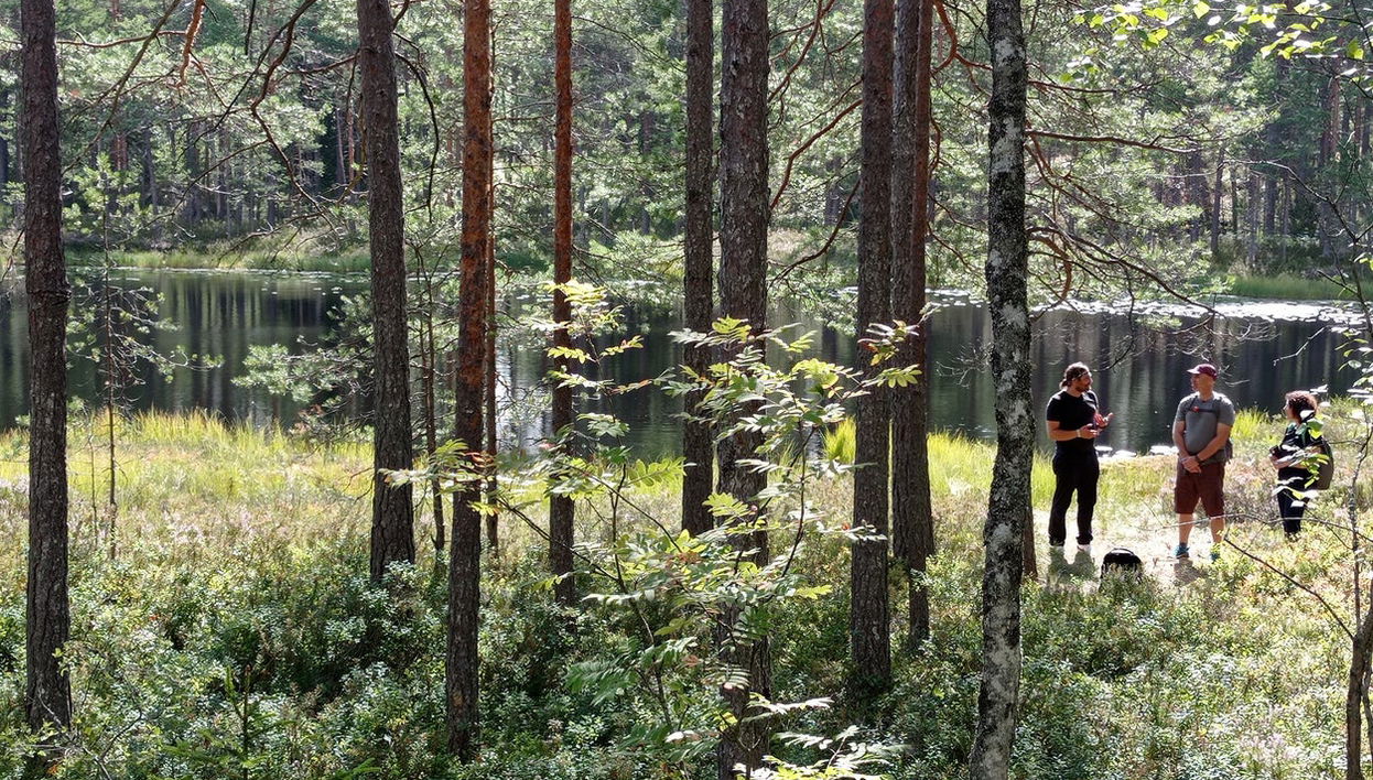Nuuksio National Park Hike - Photo 1