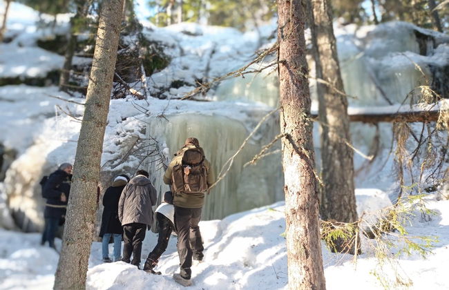 Trekking al Parco Nazionale di Nuuksio - Foto 2