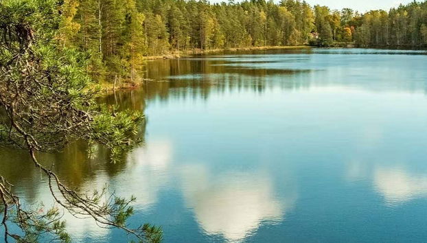 Trekking por el Parque Nacional Nuuksio - Foto 3