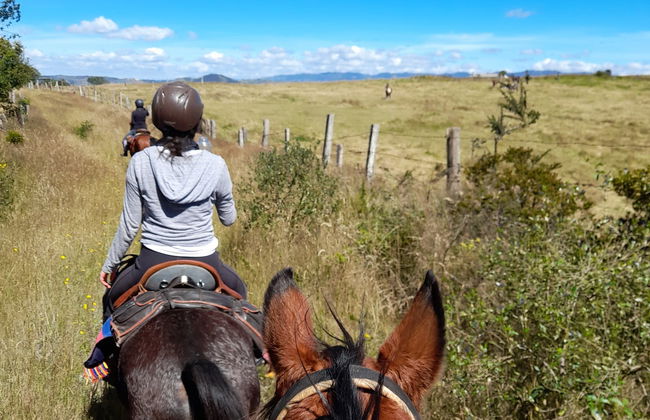 Excursion à cheval à la laguna de Suesca - Photo 1