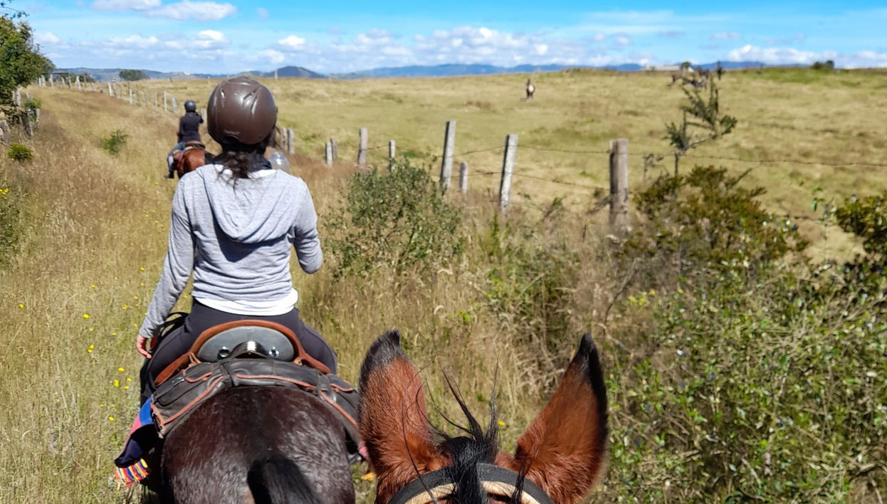 Lake Suesca Horse Riding Tour - Photo 1