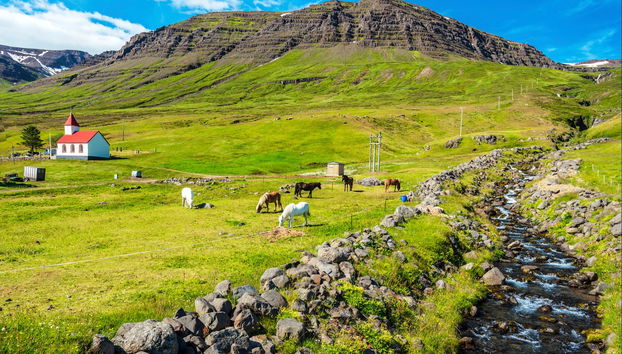 Tour di Mjóifjörður in 4x4 - Foto 2