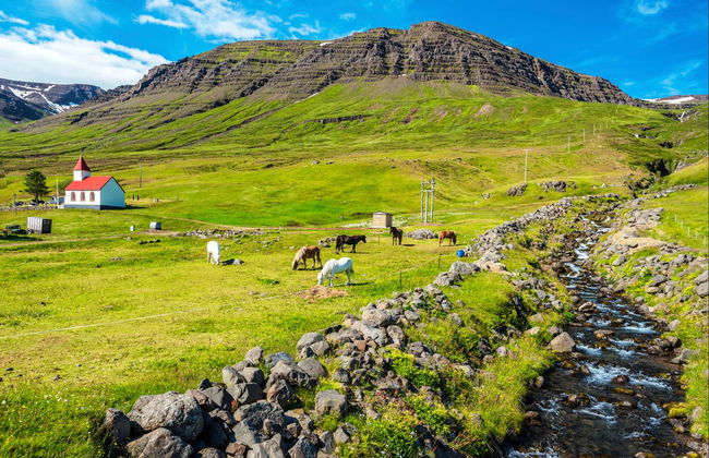 Balade en 4x4 à Mjóifjörður - Photo 2