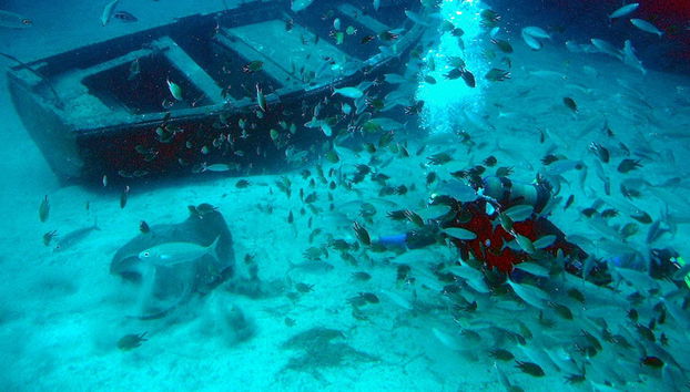 Immersione con sottomarino nella costa sud di Tenerife - Foto 4