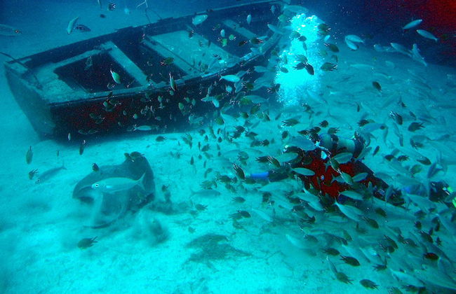 Southern Tenerife Submarine Experience - Foto 4