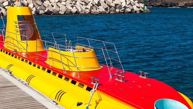 Immersione con sottomarino nella costa sud di Tenerife - Foto 5