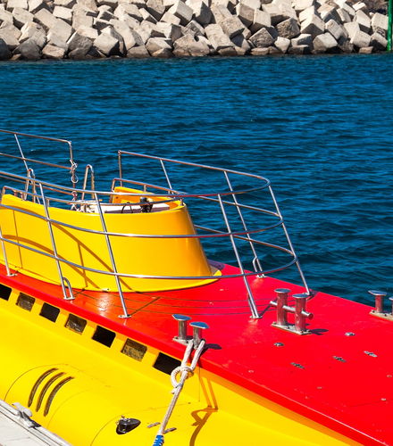 Foto de Paseo en submarino por el sur de Tenerife