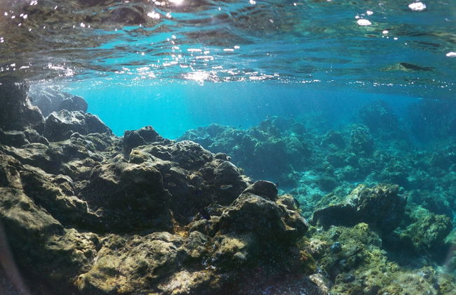 Balade en bateau aux langues de lave de Costa Adeje + Snorkeling - Photo 3