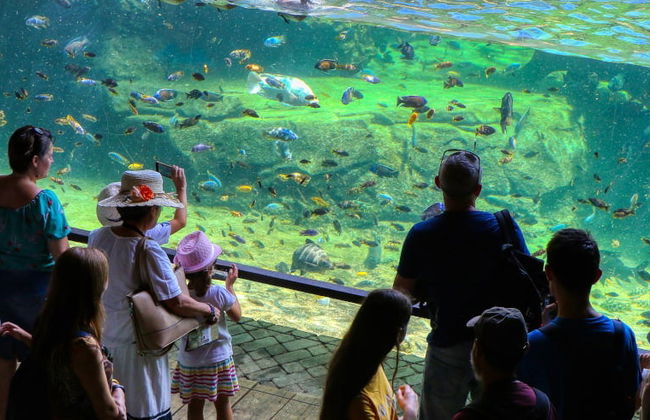 Excursión a Valencia + Bioparc - Foto 2