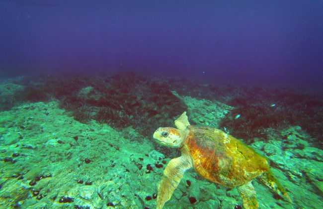 Kayak en el Cabo de Gata - Foto 5