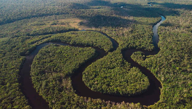 Tapajós River 5-Day Tour - Photo 2