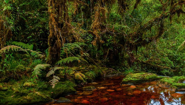 La Peña Caverns Excursion - Foto 2