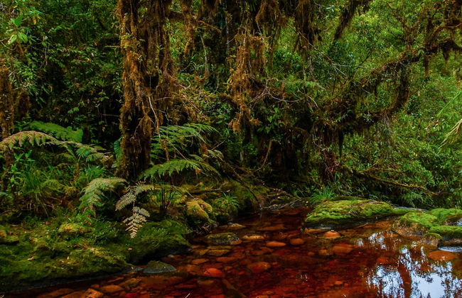 Excursão às Cavernas de la Peña - Foto 2