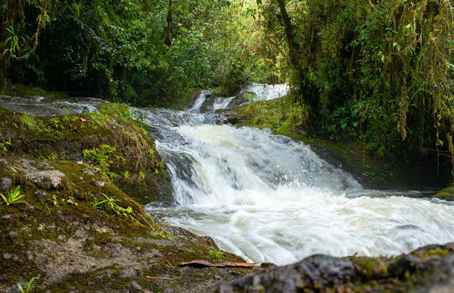 Excursão às Cavernas de la Peña - Foto 6