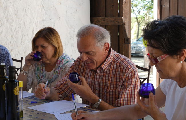 Visita a um olival e a um lagar de azeite + Degustação de azeites - Foto 6