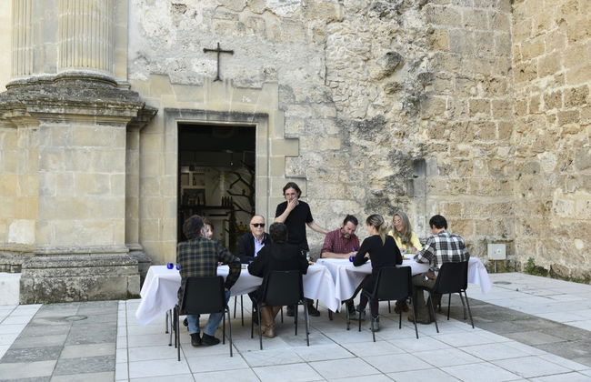 Visita a um olival e a um lagar de azeite + Degustação de azeites - Foto 7