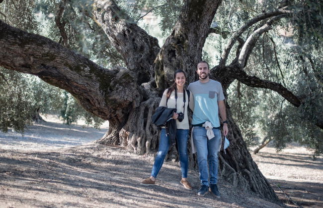 Visita a um olival e a um lagar de azeite + Degustação de azeites - Foto 5