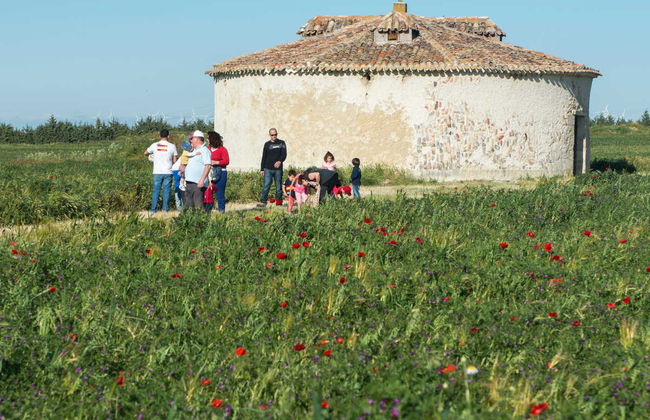 Visita guiada pela fazenda de Matallana - Foto 6