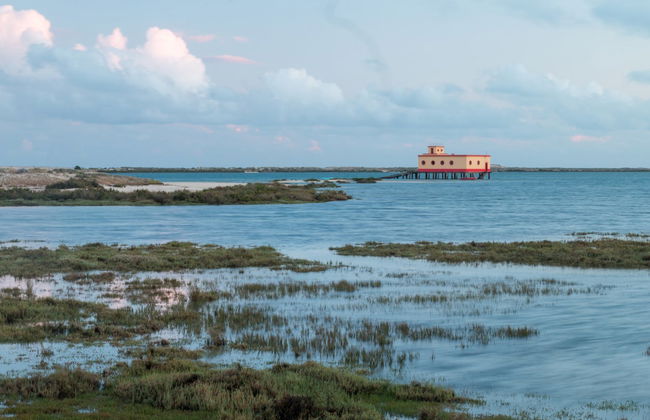 Paseo en barco por la Ría Formosa - Foto 7