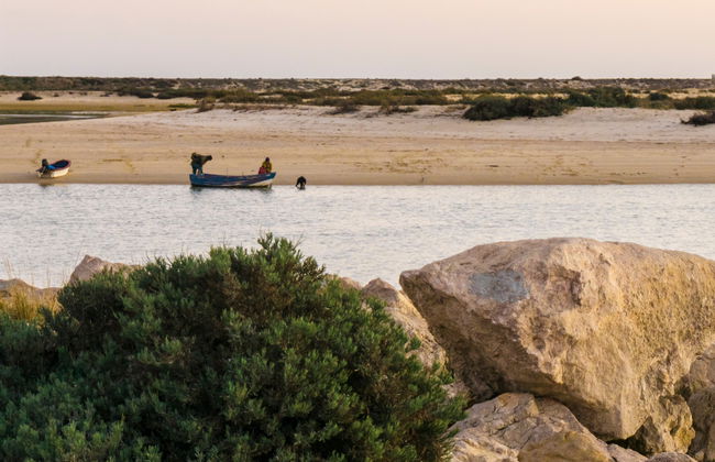 Paseo en barco por la Ría Formosa - Foto 4