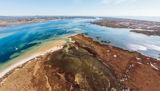 Balade en bateau sur la Ria Formosa - Photo 5