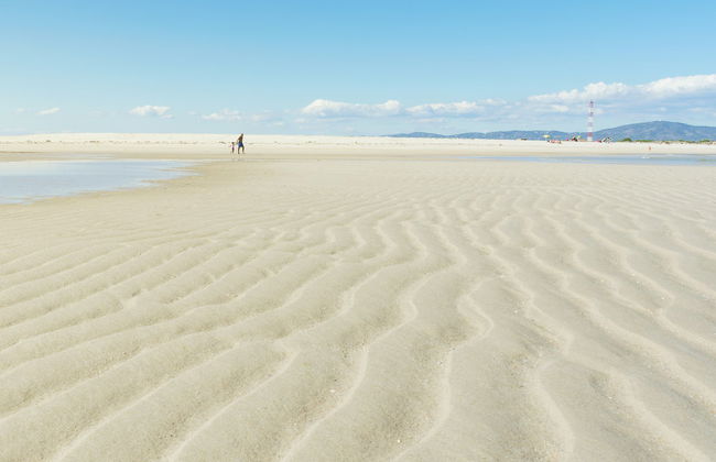Paseo en barco por la Ría Formosa - Foto 6