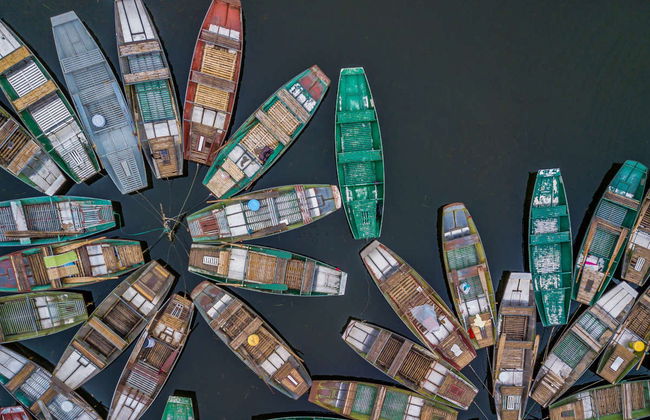 Ninh Binh Day Trip - Foto 1