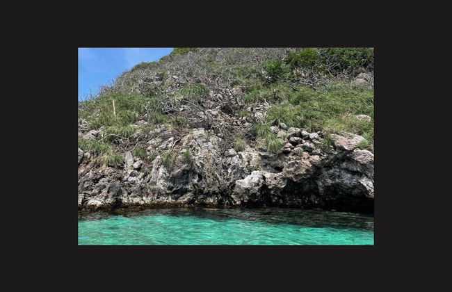 Tour de barco por Providencia - Foto 6