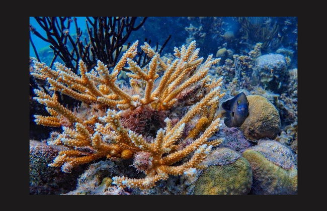 Tour de barco por Providencia - Foto 5