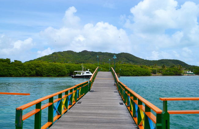 Tour de barco por Providencia - Foto 2
